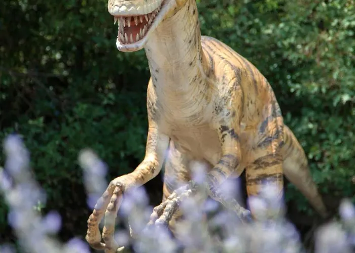 Mon Perin Castrum - Valentina * Bale